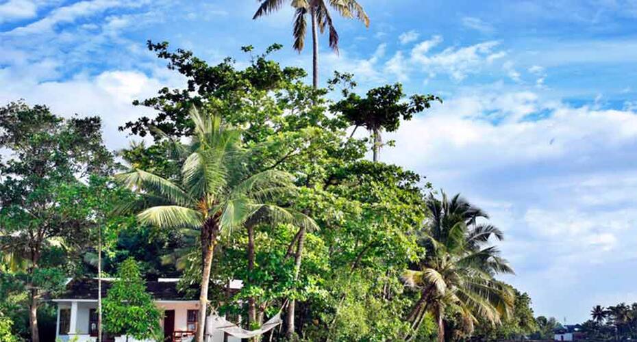 Ourland Island Resort, Alleppey 1